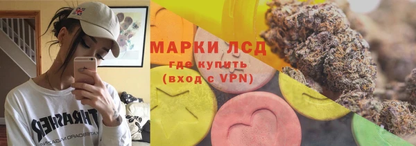 шишки Арсеньев