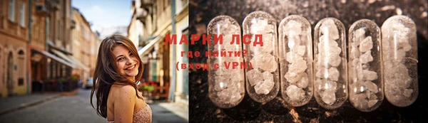 шишки Арсеньев