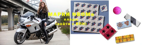 шишки Арсеньев