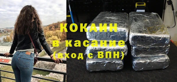 шишки Арсеньев