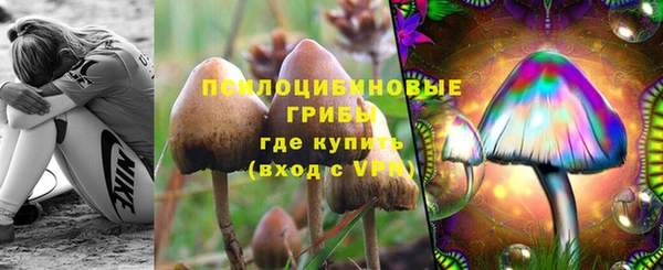 2c-b Армянск