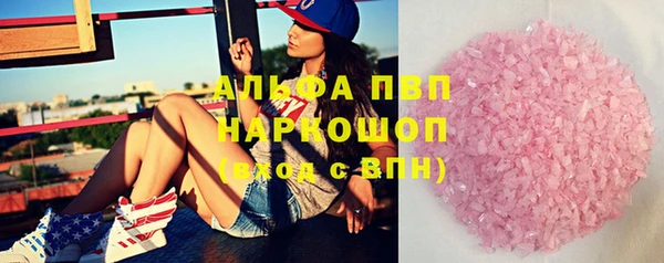 шишки Арсеньев