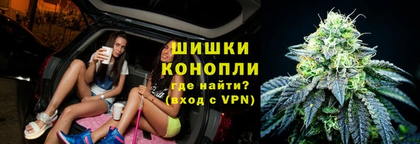 шишки Арсеньев