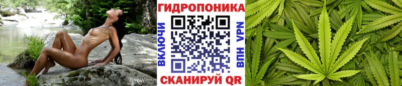 МАРИХУАНА MAZAR Урень